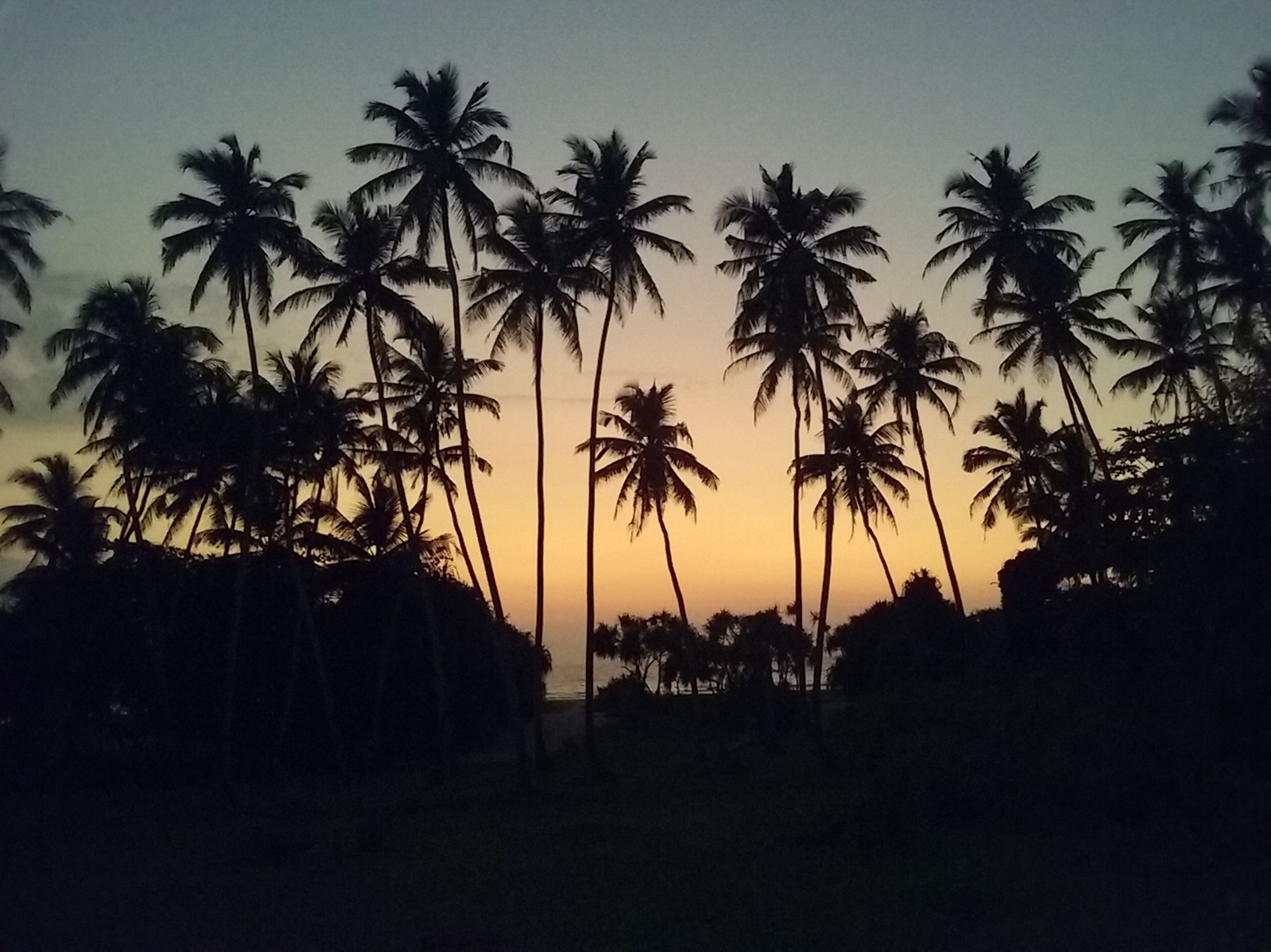 Hotel Ocean View Bentota