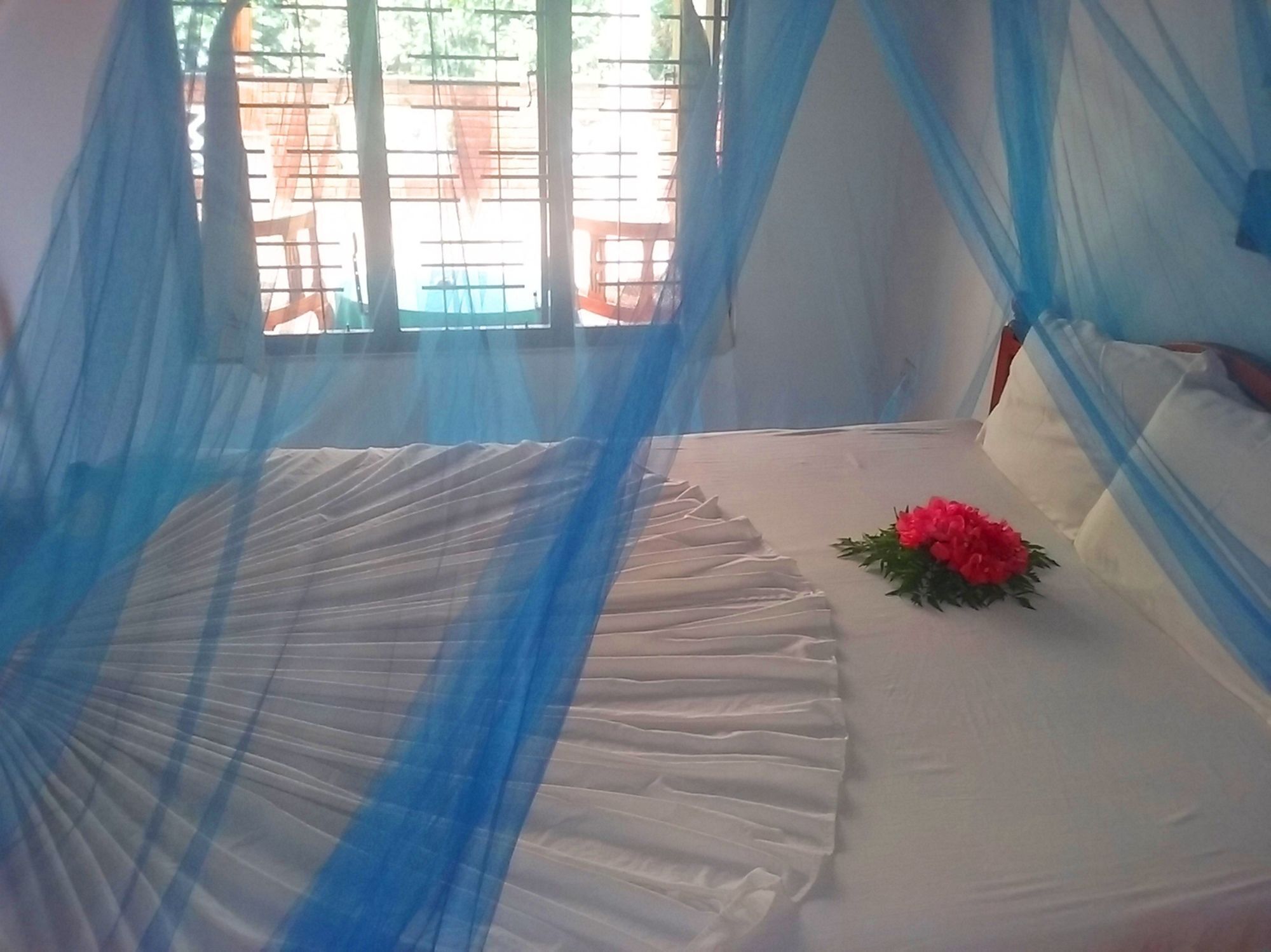 Ocean View Hotel 2*