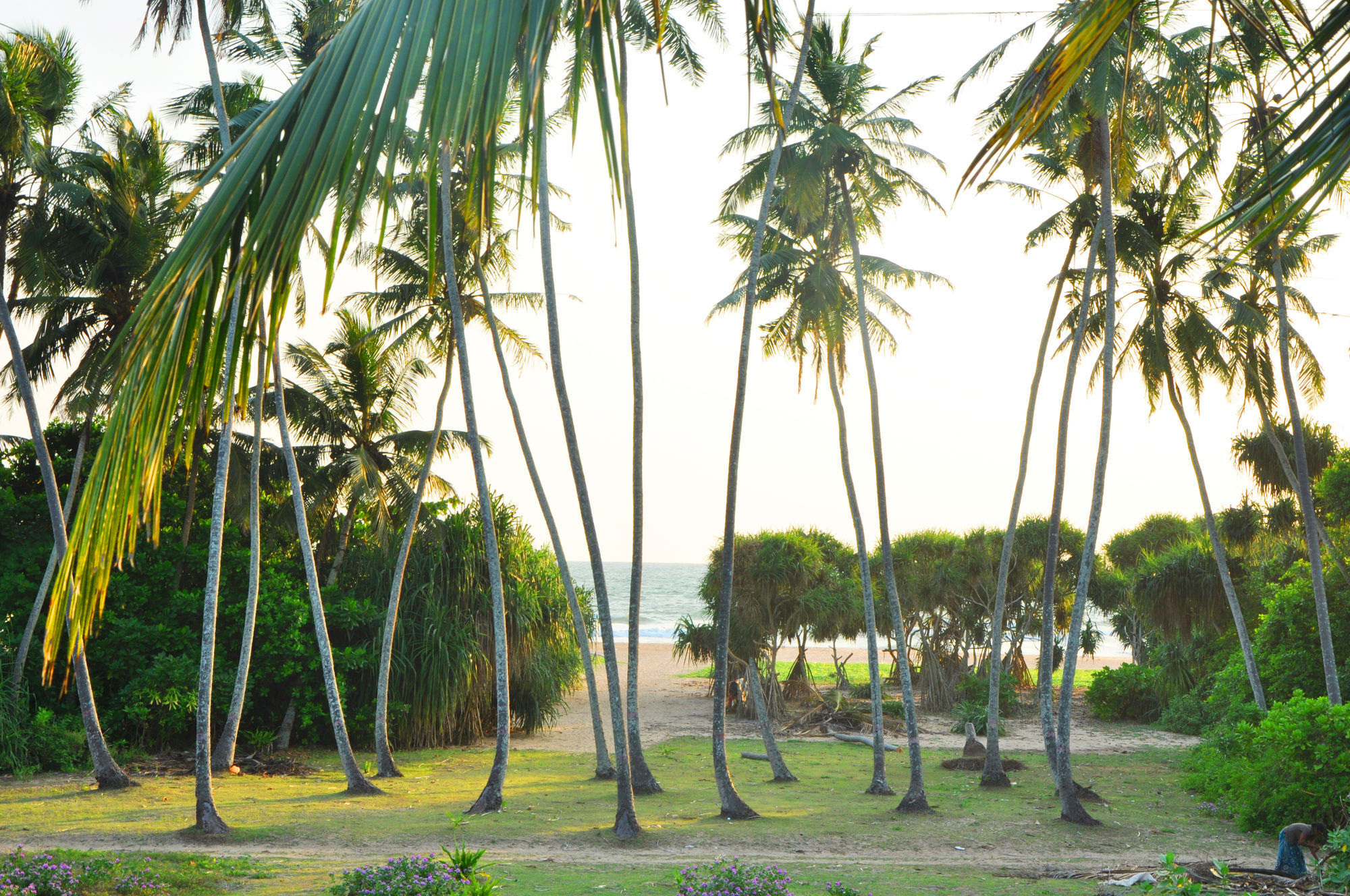 Ocean View 2*